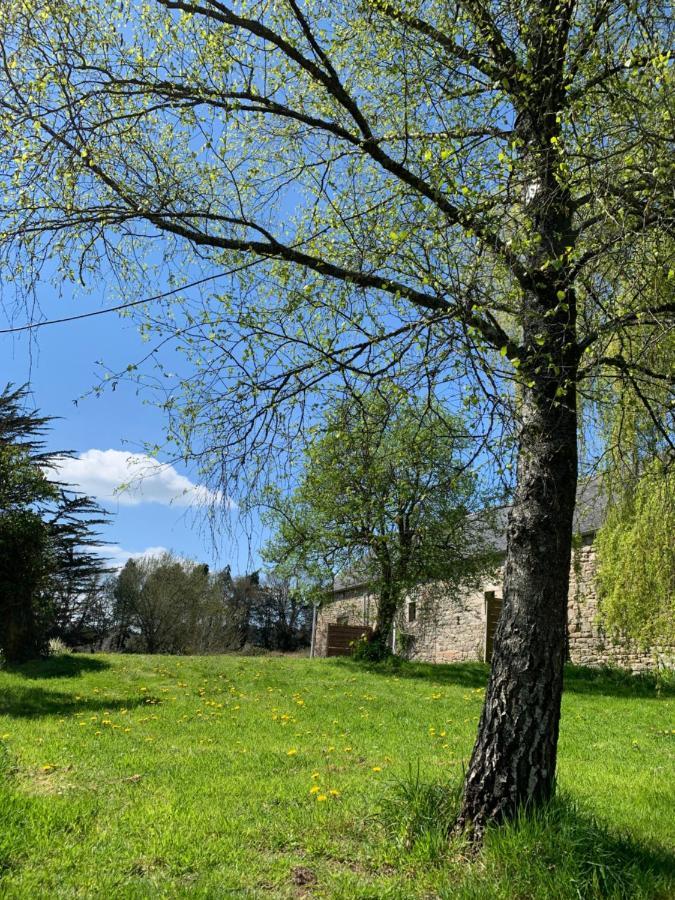 Domaine De La Blanche Hermine Plounerin Zewnętrze zdjęcie
