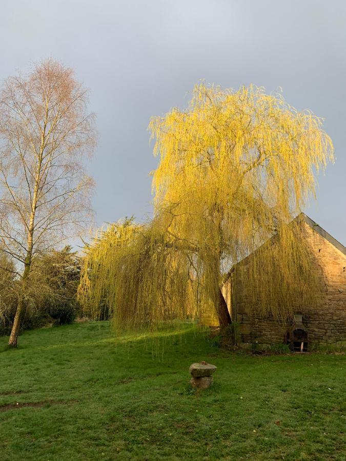 Domaine De La Blanche Hermine Plounerin Zewnętrze zdjęcie